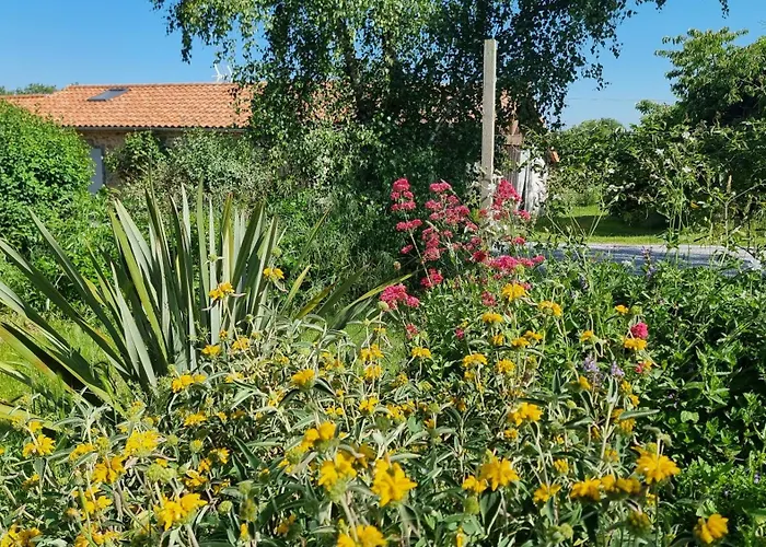 Chambres Et Gite Dans Un Lieu Calme Et Champetre Gourge Les Grippeaux Proche Parthenay