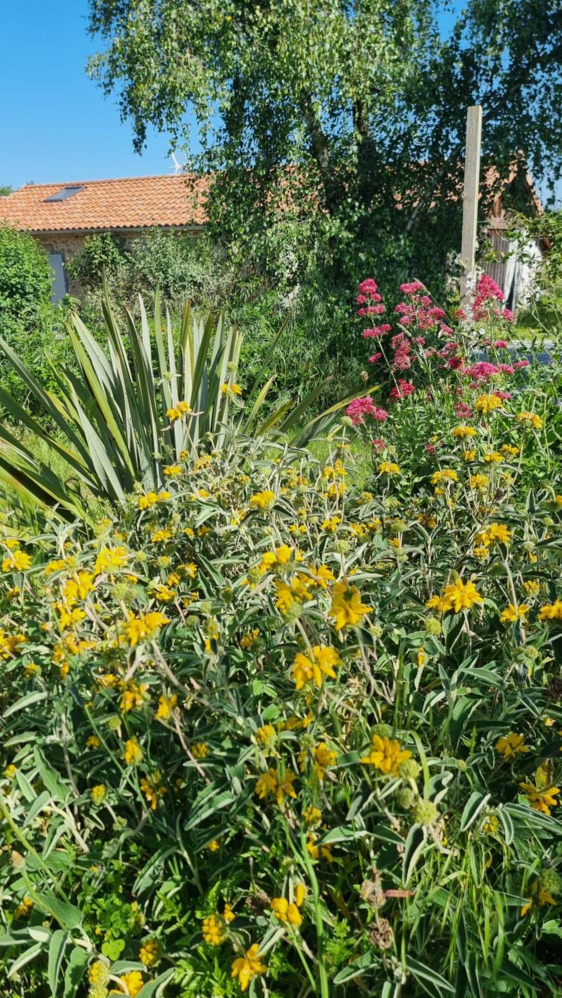 Et Dans Un Lieu Calme Et Champetre Les Grippeaux Proche Parthenay Homestay *