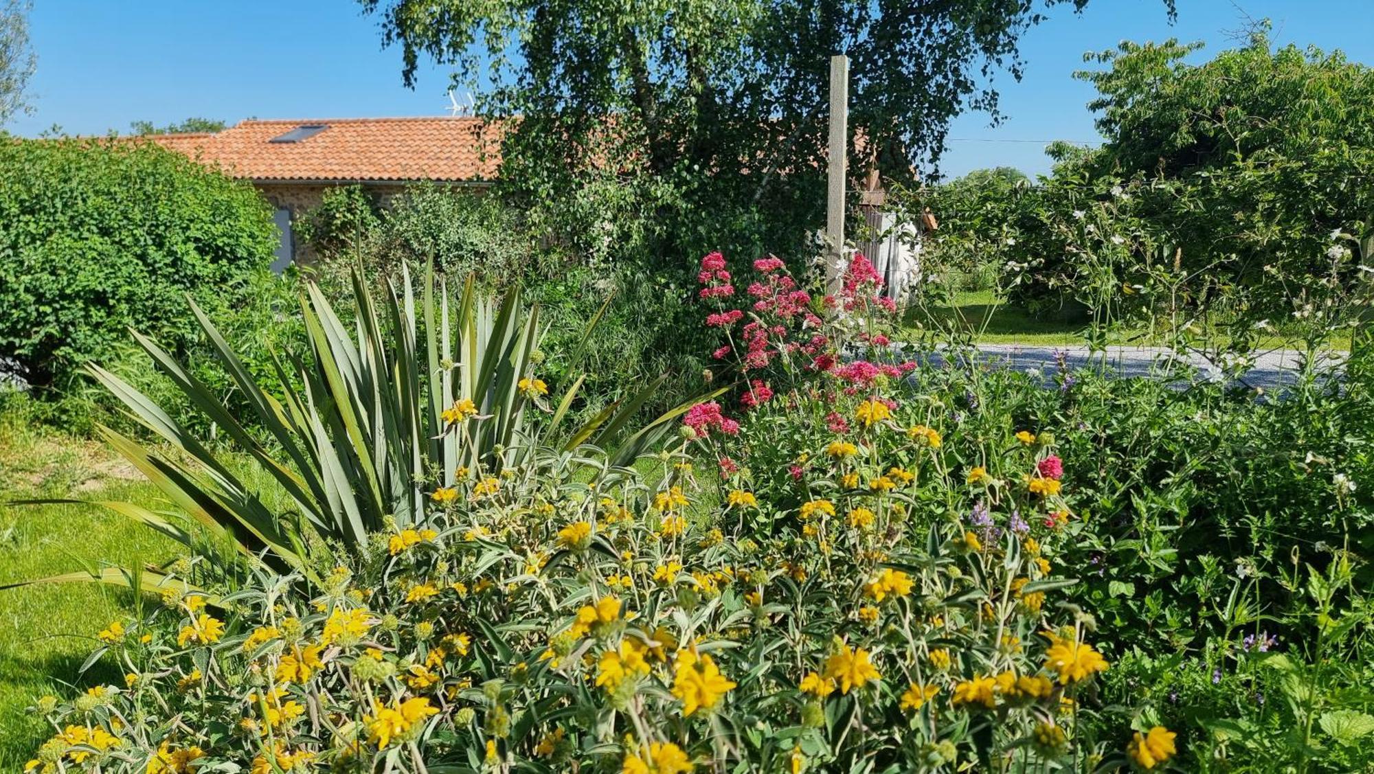 Homestay Et Dans Un Lieu Calme Et Champetre Les Grippeaux Proche Parthenay *